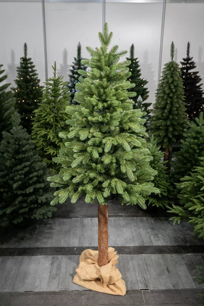 220 cm  Kalėdinė eglutė „Skandinaviškas kėnis“