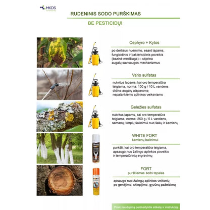 Geležies sulfatas premium, 200 g