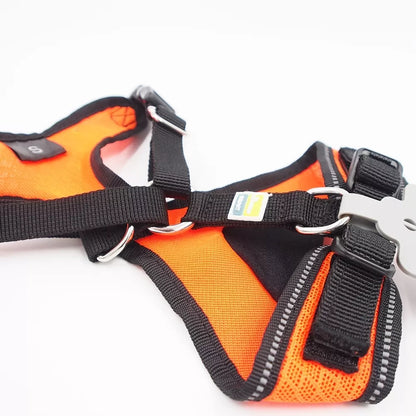 S Petnešos šunims Hunter H92731